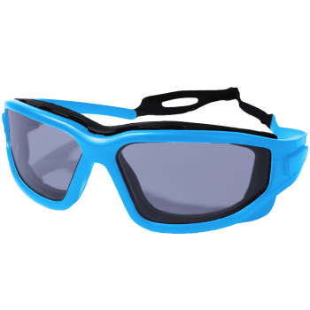Defence Pro's Blue - Smoked Protective Eyewear