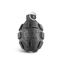 EG WP Flashbang Paint Grenade