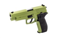 Raven - R226 (Green)