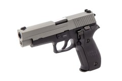 Raven - R226 (Grey-Black)